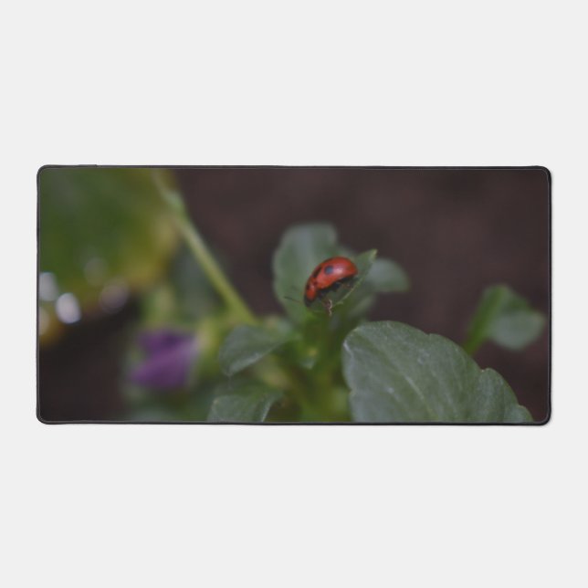 Alfrombrillas De Escritorio Ladybug en Flores (Anverso)