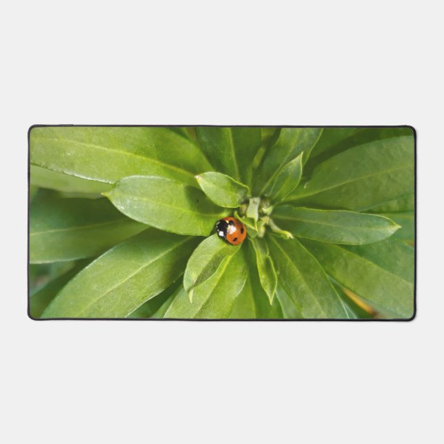 Alfrombrillas De Escritorio Ladybug en Flores (Anverso)