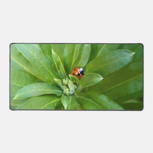 Alfrombrillas De Escritorio Ladybug en Flores
