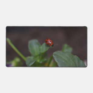 Alfrombrillas De Escritorio Ladybug en Flores