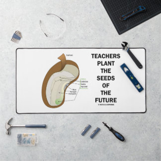 Alfrombrillas De Escritorio Los Maestros Plantan Las Semillas De Las Futuras S