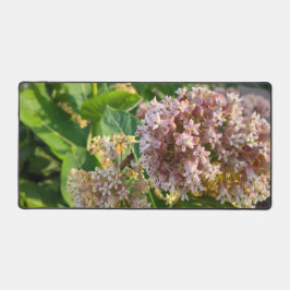 Alfrombrillas De Escritorio Malezas lecheras deliciosas y aromáticas