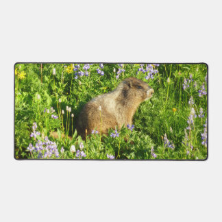 Alfrombrillas De Escritorio Marmota en flores silvestres del Monte Rainier