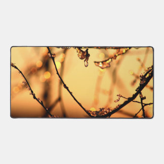 Alfrombrillas De Escritorio Melting Dawn Spring Branches Morning Sunrise Photo