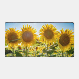 Alfrombrillas De Escritorio Moda de escritorio