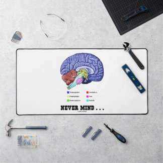 Alfrombrillas De Escritorio No Importa ... Anatomía del Cerebro Psique Humor