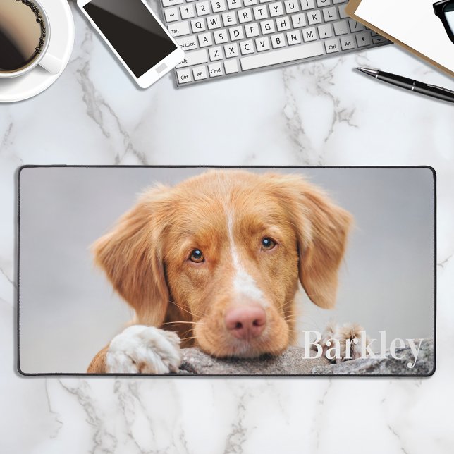 Alfrombrillas De Escritorio Oficina personalizada de Mascotas personalizados s (Subido por el creador)