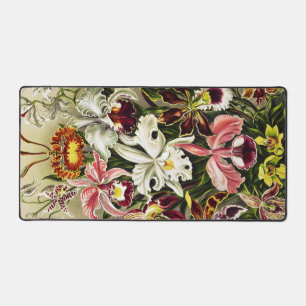 Alfrombrillas De Escritorio Orquídeas Orchideae Denusblumen Ernst Haeckel