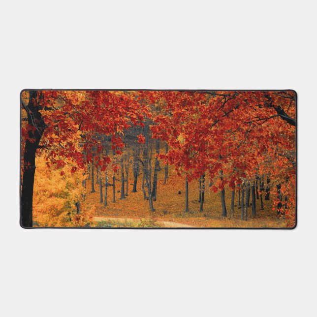 Alfrombrillas De Escritorio otoño en el bosque (Anverso)