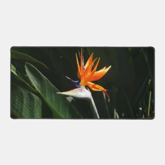 Alfrombrillas De Escritorio Pájaro del Naranja del paraíso Flor tropical