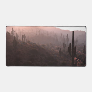 Alfrombrillas De Escritorio Paso Saguaro