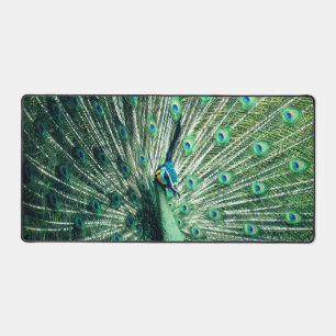 Alfrombrillas De Escritorio Peacock Strut