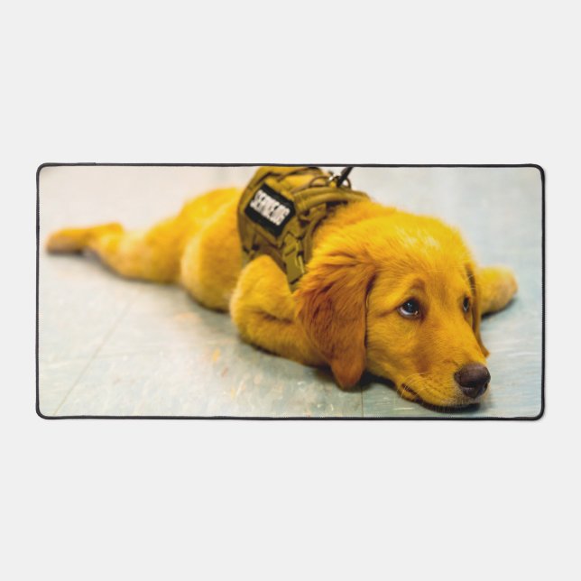 ALFROMBRILLAS DE ESCRITORIO PERRO DE SERVICIO MILITAR DE EE. UU. (Anverso)