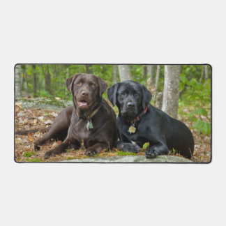Alfrombrillas De Escritorio Perros cachorros Black Lab Chocolate Labrador Recu