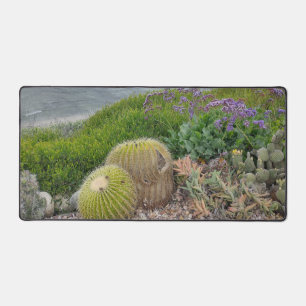 Alfrombrillas De Escritorio Plantas de cactus Alfombra de escritorio
