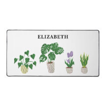 Plantas potentes personalizadas Monstera Verde tro