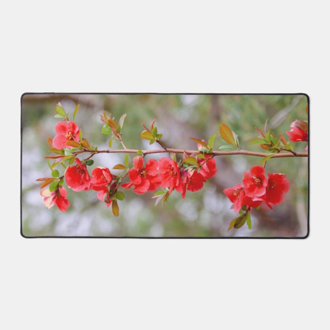 Alfrombrillas De Escritorio Primavera en auge (Anverso)