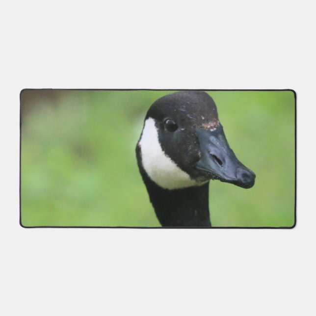 Alfrombrillas De Escritorio Qué (Anverso)