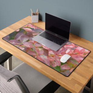 Alfrombrillas De Escritorio Ramas rosadas de bonito