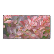 Ramas rosadas de bonito