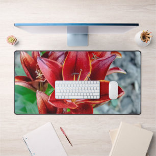 Alfrombrillas De Escritorio Red Stargazer Lily Flower, fotografía canadiense