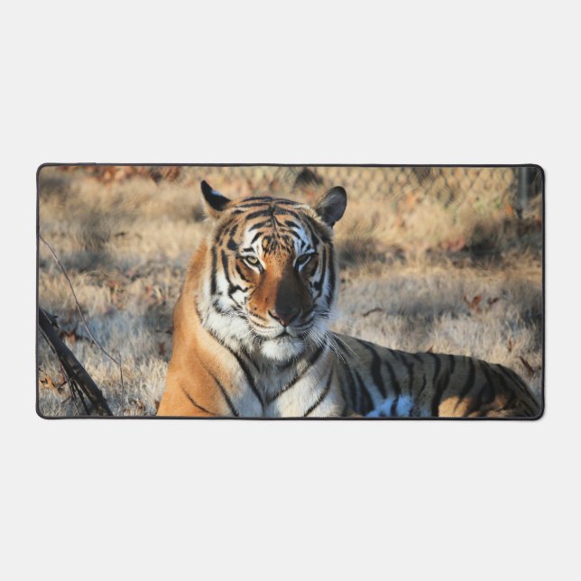 Alfrombrillas De Escritorio Regal (Anverso)