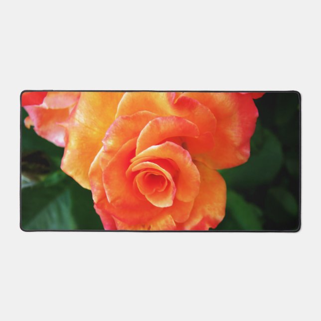 Alfrombrillas De Escritorio Rosa anaranjada (Anverso)