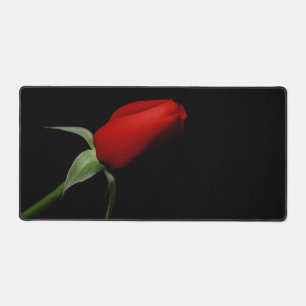 Alfrombrillas De Escritorio Rosa Bud Love Elegant Artistic Photo