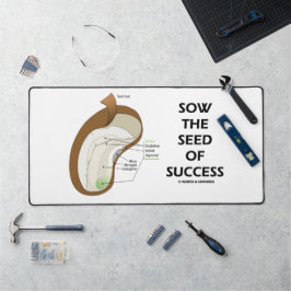 Alfrombrillas De Escritorio Sembrar La Semilla Del Éxito Dicotyledon Bean Seed