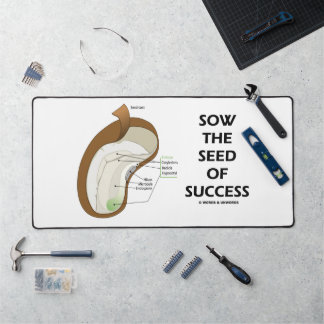Alfrombrillas De Escritorio Sembrar La Semilla Del Éxito Dicotyledon Bean Seed