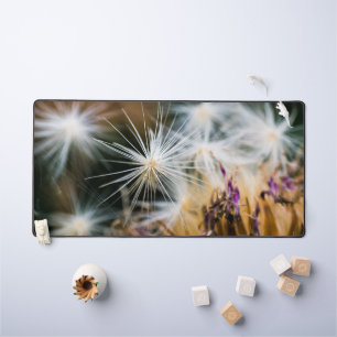 Alfrombrillas De Escritorio Semillas