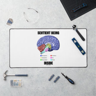 Alfrombrillas De Escritorio Ser Consciente Dentro del Cerebro Anatómico