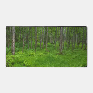 Alfrombrillas De Escritorio Serenidad del bosque verde vibrante