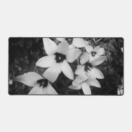 Alfrombrillas De Escritorio Silent Symmetry