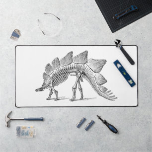 Alfrombrillas De Escritorio Stegosaurus Dinosaur Skeleton Fossil