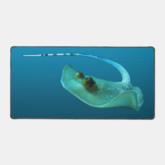 Alfrombrillas De Escritorio ¡Stingray en movimiento! Fondo azul gradiente |
