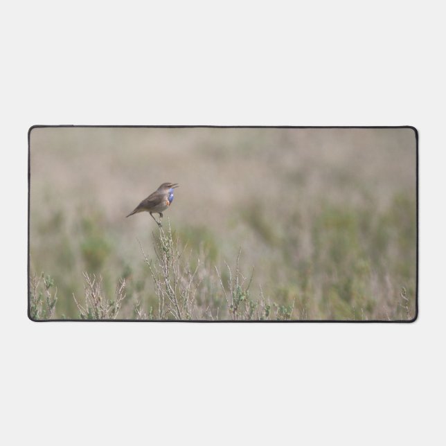 Alfrombrillas De Escritorio Tapis de bureau motif oiseaux (Anverso)