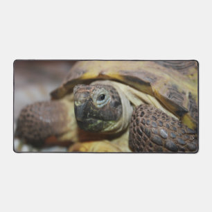 Alfrombrillas De Escritorio Tibbs