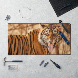Alfrombrillas De Escritorio Tigre