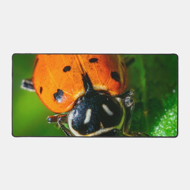 Alfrombrillas De Escritorio Tiny Traveler: Ladybug on a Leaf (Anverso)