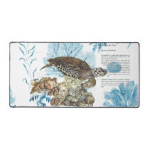 Tortuga submarina de Hawksbill Pintada A Mano