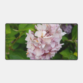 Alfrombrillas De Escritorio Una vista rosa pálido