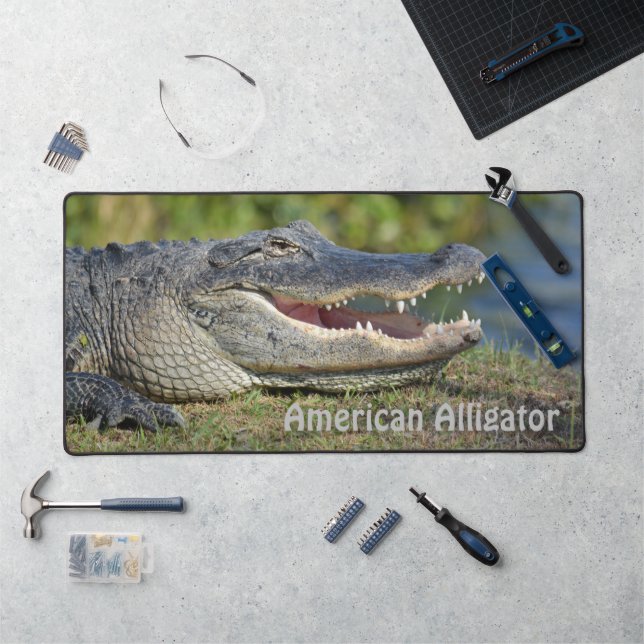 Alfrombrillas De Escritorio Vida silvestre fotográfica del lagarto americano (Puesto de trabajo)