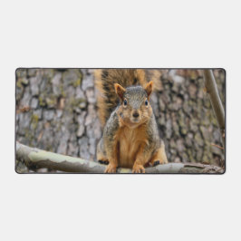 Alfrombrillas De Escritorio Zorro falso ardilla