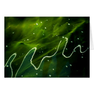 Algas verdes y gcna acuática