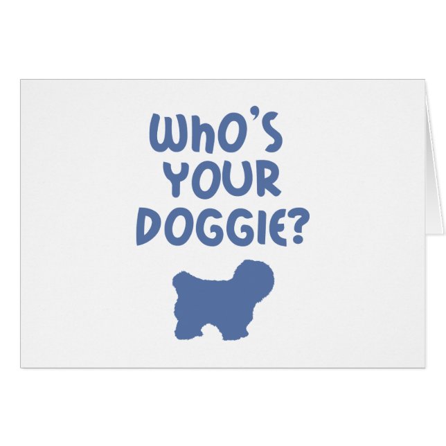 Algodón de Tulear (Anverso (Horizontal))