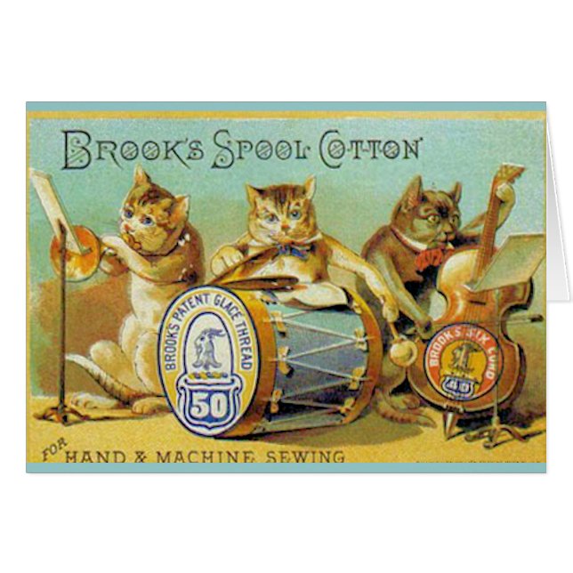 Algodón del carrete de los arroyos (Anverso (Horizontal))