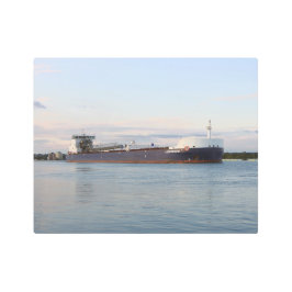 Algoma Conveyor arte mural metalizado