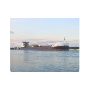 Algoma Conveyor arte mural metalizado