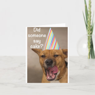 ¿Alguien dijo se apelmazó? Tarjeta de cumpleaños